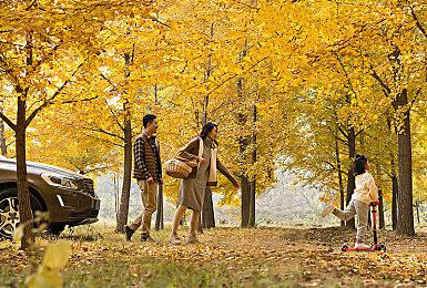 《宝可梦GO》确定9月加入《朱＆紫》宝可梦